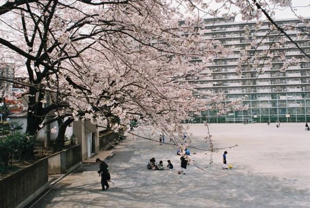 【カルムＮＳの公園】