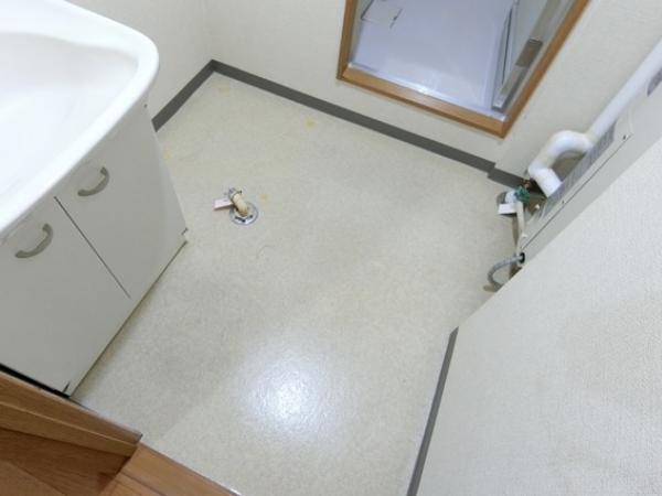 サンシルクパール_その他_9