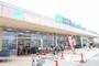 スーパー　マルハチ金楽寺店（スーパー）まで582m