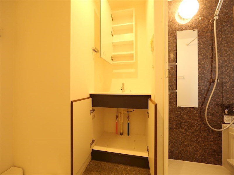 洗面設備　脱衣所　独立洗面台　収納スペース有