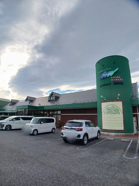 スーパー　セレクション　花野井店（スーパー）まで888m