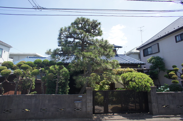 眺望　お部屋からの景色です！圧迫感がないので暮らしやすい♪
