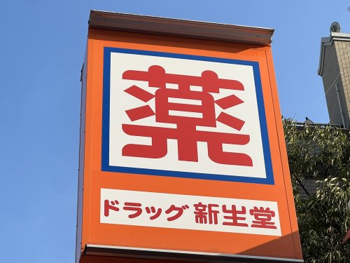ドラックストア　新生堂薬局 南店（ドラッグストア）まで434m