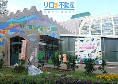 病院　伊丹市昆虫館（病院）まで2534m