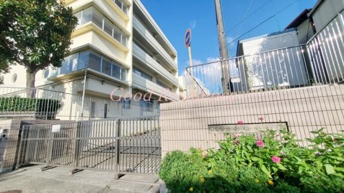 小学校　横浜市立小机小学校（小学校）まで743m
