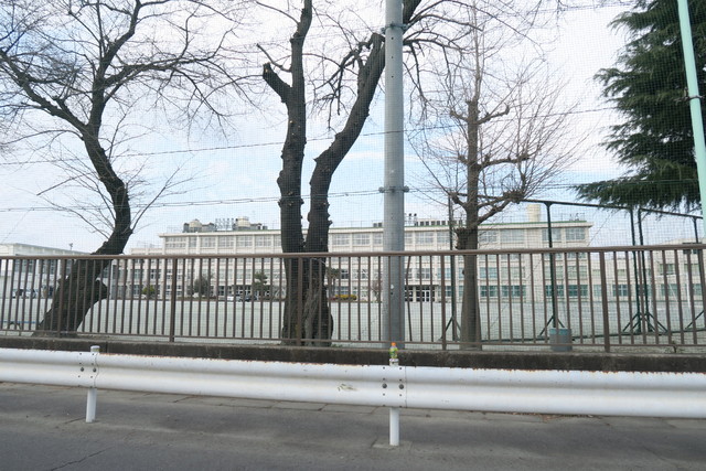 中学校　福生市立福生第二中学校（中学校）まで1800m
