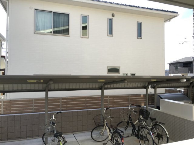 庭