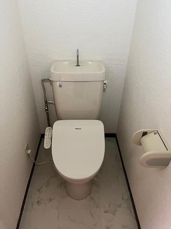 【ホワイトタウン瀬山のトイレ】
