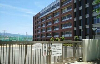 大学・短大　日本大学国際関係学部（大学・短大）まで750m