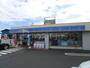 コンビニ　ローソン足立神明南店（コンビニ）まで250m