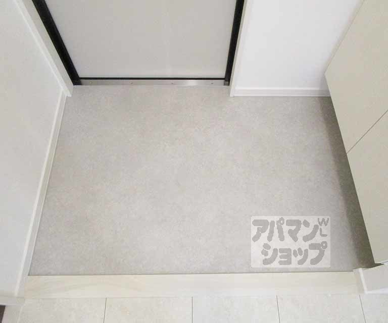 玄関　２０１号室の写真です。