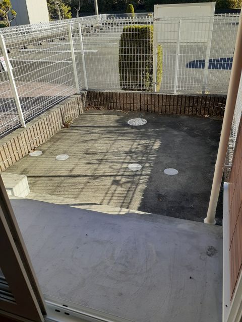 庭