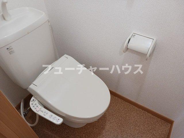 トイレ　トイレも気になるポイント