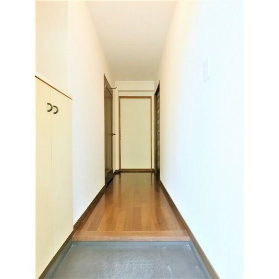 玄関　※同タイプ別部屋の写真です。現況優先。