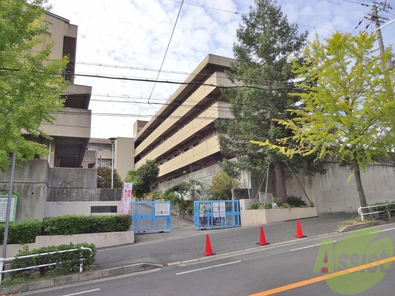 小学校　片山小学校（小学校）まで791m