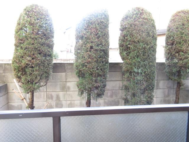 眺望　１階でも木が植えられているので目隠しになります