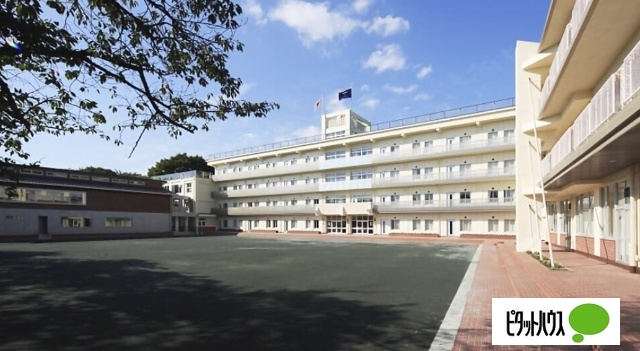 中学校　私立八雲学園中学校（中学校）まで584m