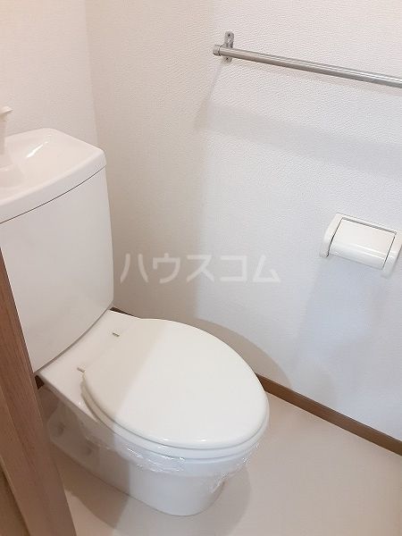 ハイツサルーンIIIのトイレ写真