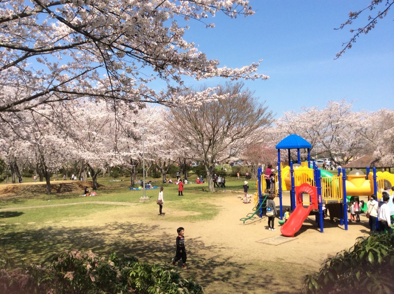 【とらや住宅の公園】