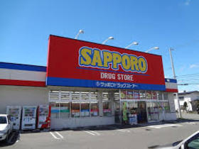ドラックストア　サッポロドラッグストアー西岡店（ドラッグストア）まで982m