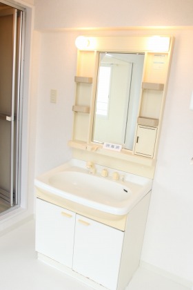 洗面設備　シャワードレッサー付きです。