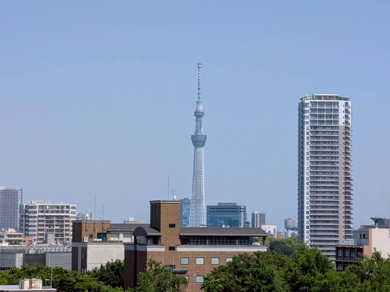 眺望　スカイツリービュー☆