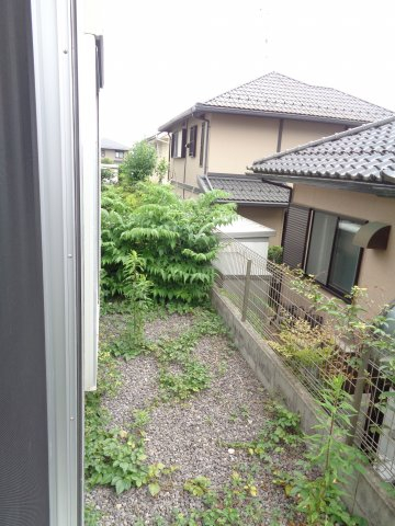 庭