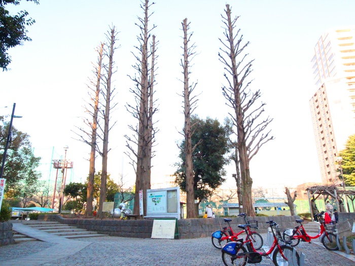 公園　目黒区民センター公園（公園）まで200m