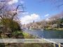公園　井の頭恩賜公園（公園）まで475m