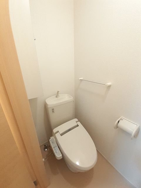 牟岐線 阿波中島駅 徒歩19分 2階建 築15年のトイレ写真