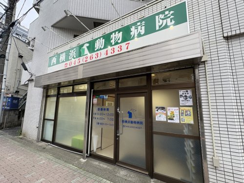病院　西横浜動物病院（病院）まで228m