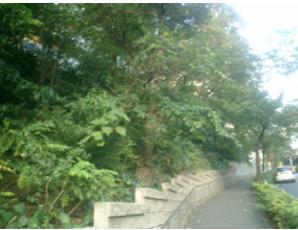 公園　大坂緑地（公園）まで302m