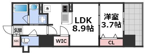 RJRプレシア南堀江の間取り