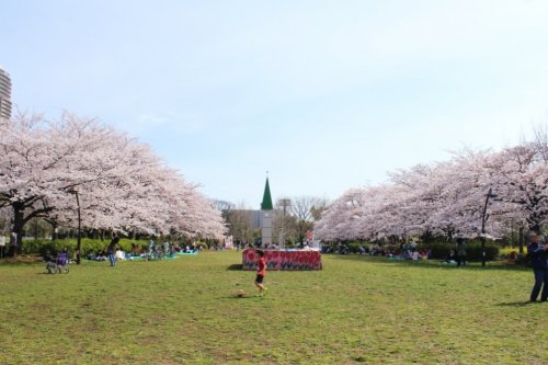 【シーフォルム住吉IIの公園】