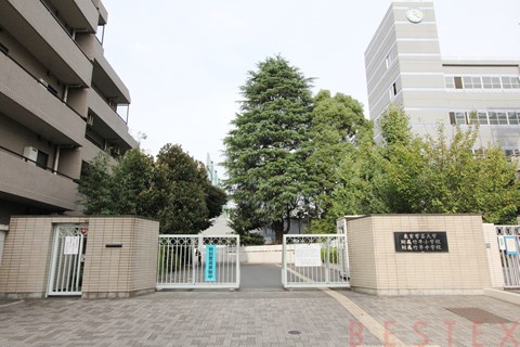 小学校　国立東京学芸大学教育学部附属竹早小学校（小学校）まで252m