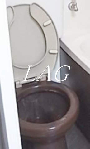 トイレ　トイレです。
