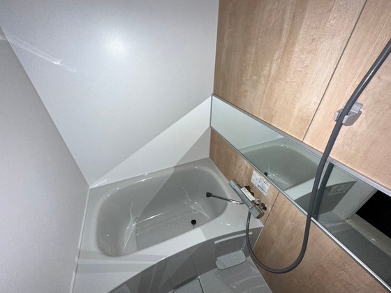 バス・シャワールーム　※別部屋の写真です