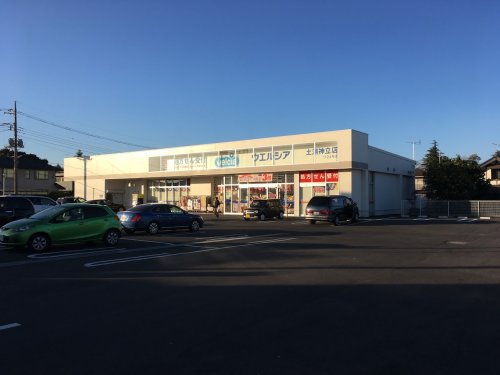 ドラックストア　ウエルシア土浦神立店（ドラッグストア）まで1514m