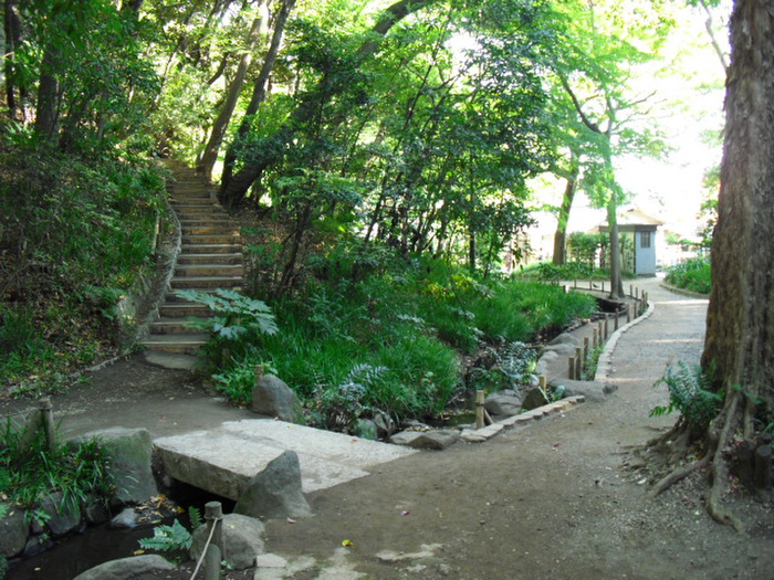 公園　おとめ山公園（公園）まで396m