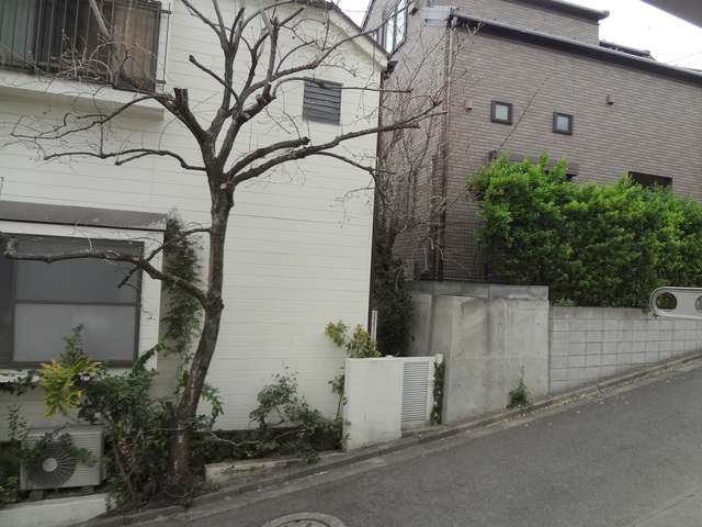 眺望　リビング側からの景色