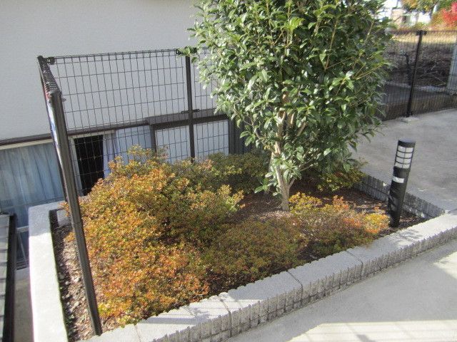 庭