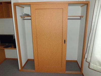 収納　丈の長い服も掛けられます。