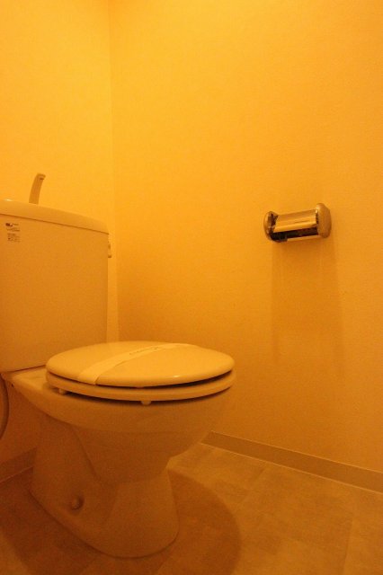 トイレ　同物件、別号室のものです。