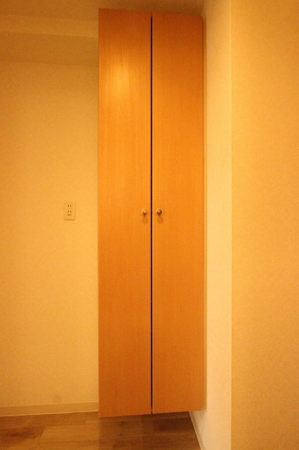 玄関　同物件、別号室のものです。