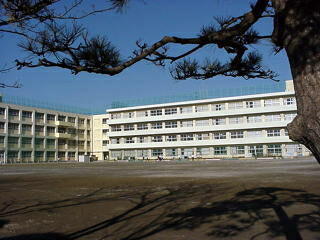 小学校　信篤小学校（小学校）まで1015m