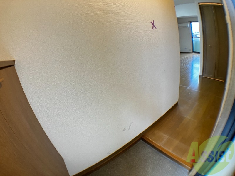 玄関　玄関から撮影しました。敷居が高くなくて安心ですね。