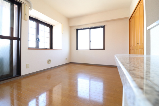 居室・リビング　※別部屋の写真です