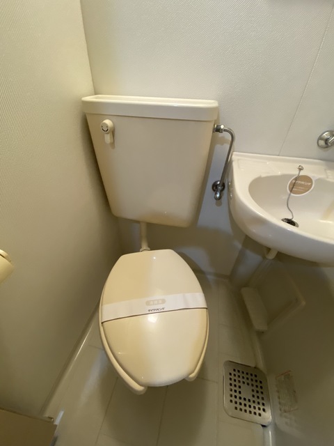 トイレ　シンプルさが良しです。