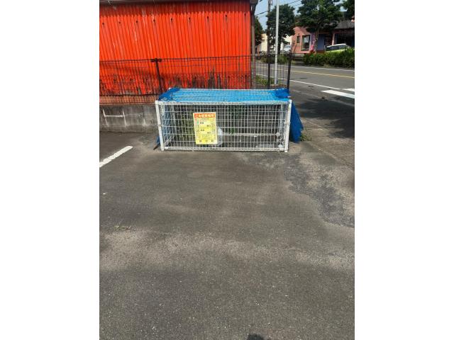 その他　その他