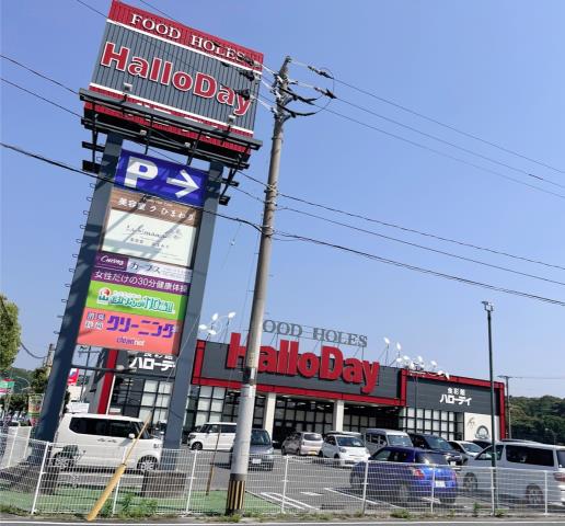 スーパー　ハローデイ大佐野店（スーパー）まで262m